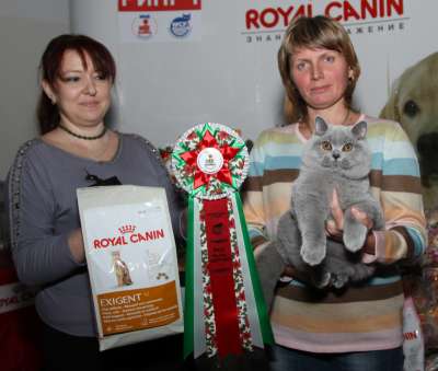 �������� ����� '������� ���-�����' 30 ������-1 ������� 2013� 90_best1_kitten_opp_sex_IMG_3393 copy.jpg